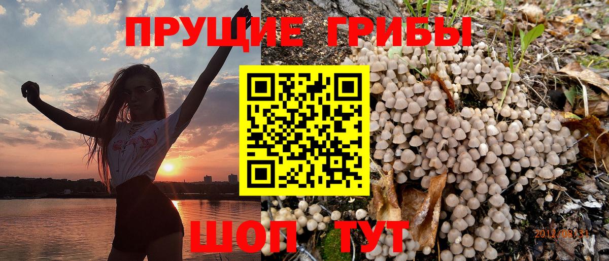 Псилоцибиновые грибы ЛСД  Вход с VPN  Нижнеудинск  Псилоцибиновые грибы GOLDEN TEACHER 